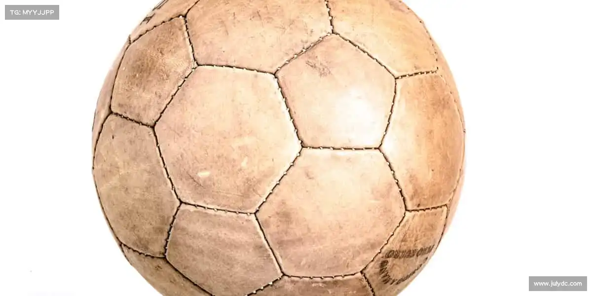 为什么选择我们